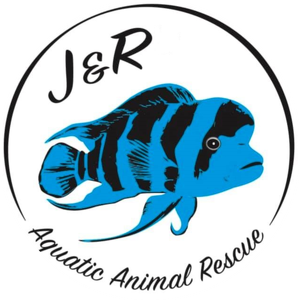 Fundraising Page: J&R Aquatic Animal Rescue