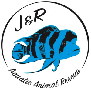 J&R Aquatic Animal Rescue